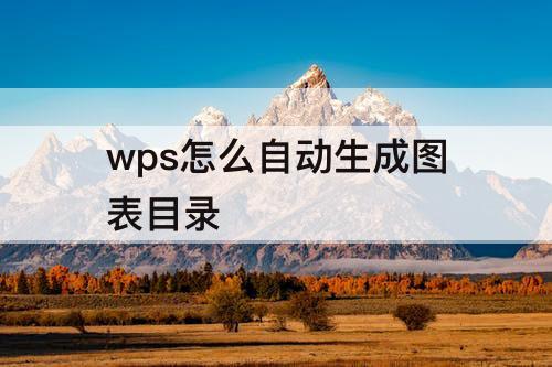 wps怎么自动生成图表目录