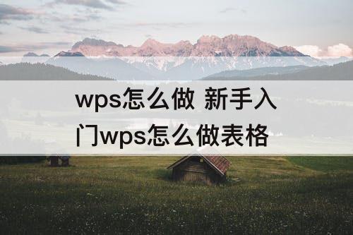 wps怎么做 新手入门wps怎么做表格