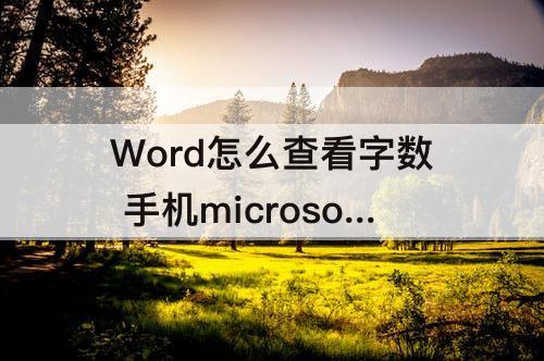 Word怎么查看字数 手机microsoft word怎么查看字数