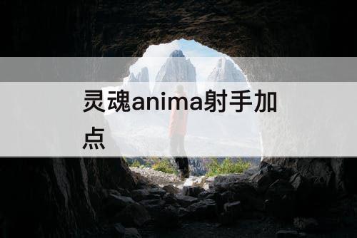 灵魂anima射手加点