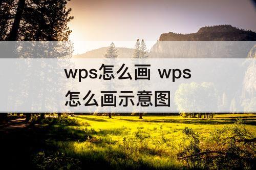 wps怎么画 wps怎么画示意图