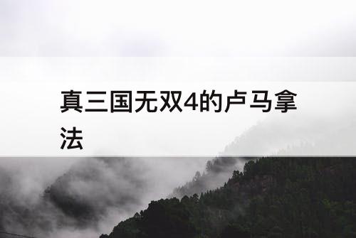 真三国无双4的卢马拿法