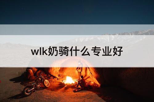 wlk奶骑什么专业好