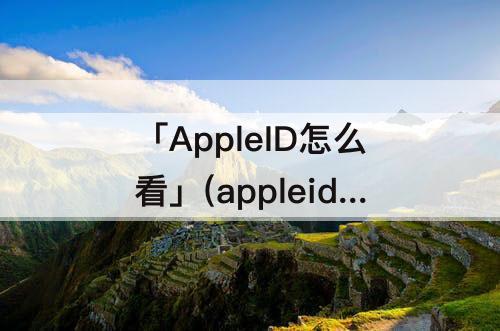 「AppleID怎么看」(appleid怎么看登陆过的设备)