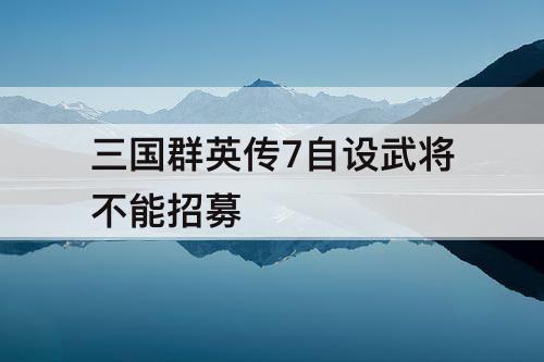 三国群英传7自设武将不能招募