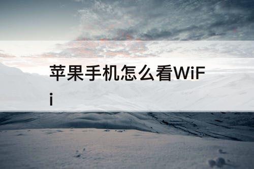 苹果手机怎么看WiFi