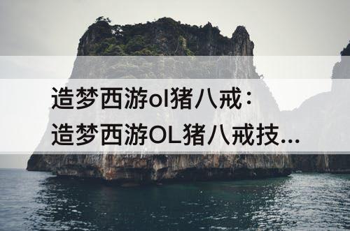 造梦西游ol猪八戒：造梦西游OL猪八戒技能推荐