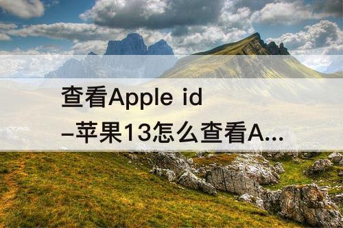 查看Apple id-苹果13怎么查看Apple ID