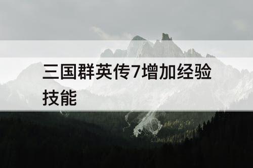 三国群英传7增加经验技能