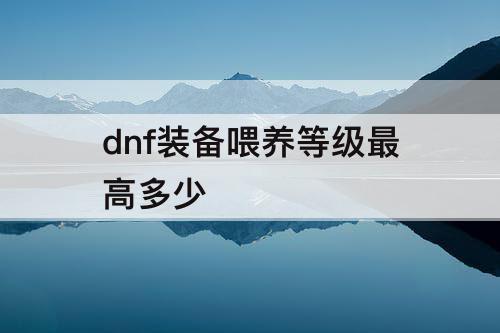 dnf装备喂养等级最高多少