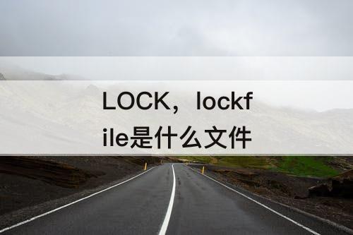 LOCK，lockfile是什么文件