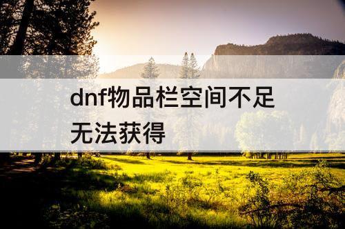 dnf物品栏空间不足无法获得