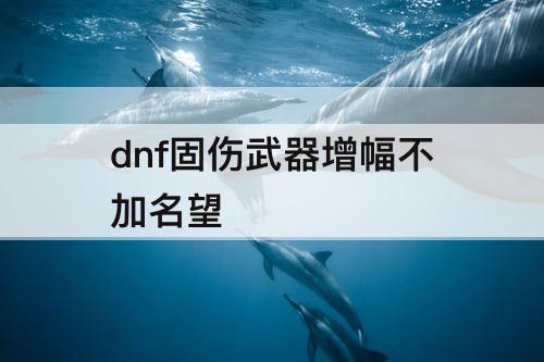 dnf固伤武器增幅不加名望