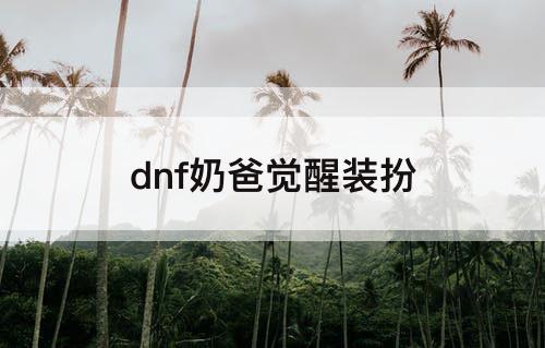 dnf奶爸觉醒装扮