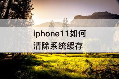 iphone11如何清除系统缓存