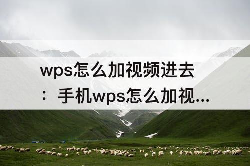 wps怎么加视频进去：手机wps怎么加视频进去