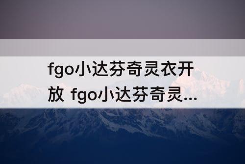 fgo小达芬奇灵衣开放 fgo小达芬奇灵衣开放材料