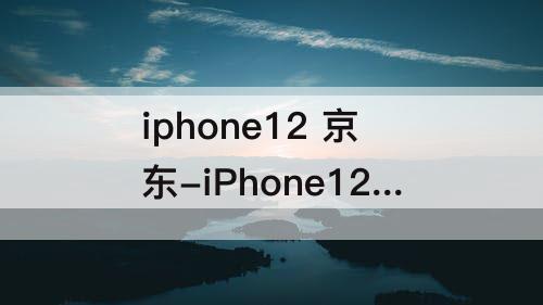 iphone12 京东-iPhone12 京东双十一