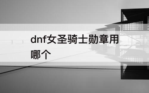 dnf女圣骑士勋章用哪个