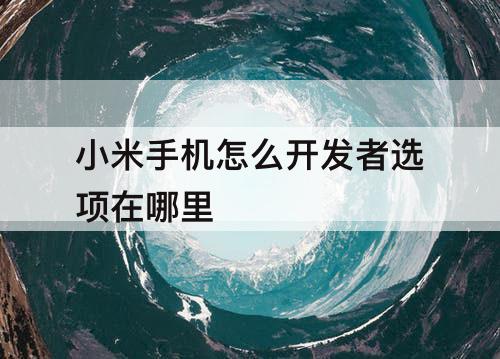 小米手机怎么开发者选项在哪里