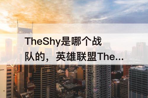 TheShy是哪个战队的，英雄联盟TheShy是哪个战队的