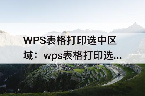 WPS表格打印选中区域：wps表格打印选中区域怎么打印