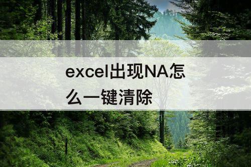 excel出现NA怎么一键清除