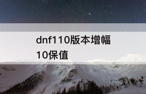 dnf110版本增幅10保值