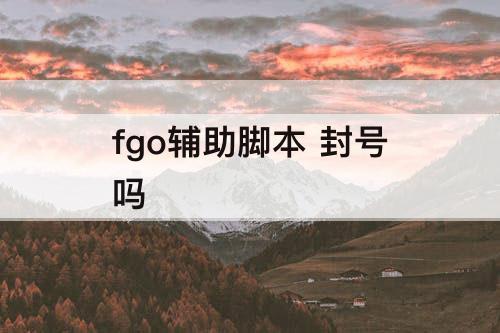 fgo辅助脚本 封号吗