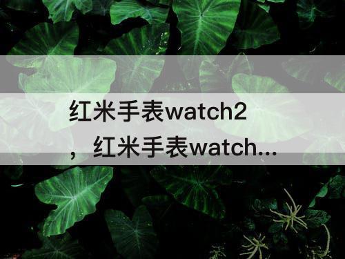 红米手表watch2，红米手表watch2表盘图片