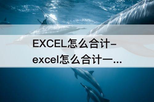 EXCEL怎么合计-excel怎么合计一列数之和公式