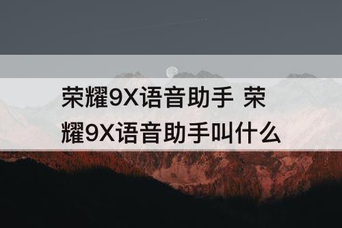 荣耀9X语音助手 荣耀9X语音助手叫什么