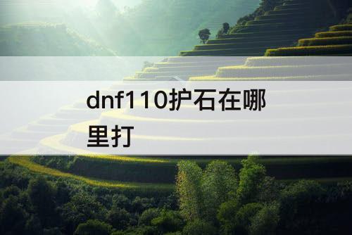 dnf110护石在哪里打