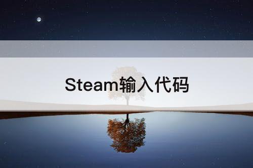 Steam输入代码