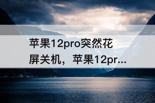 苹果12pro突然花屏关机，苹果12pro突然花屏关机自动从启又好了