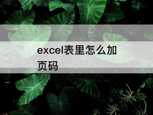 excel表里怎么加页码