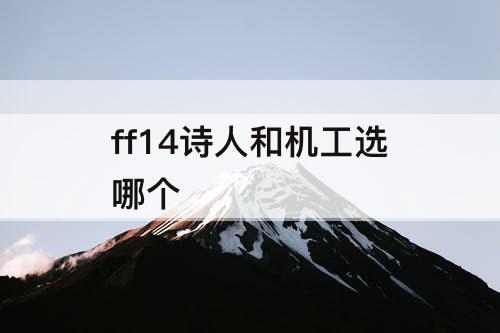 ff14诗人和机工选哪个