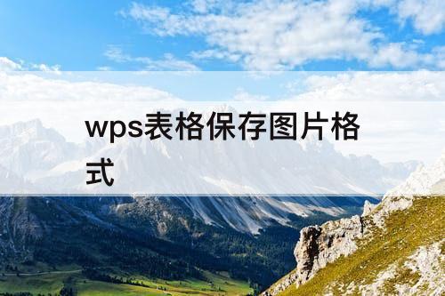 wps表格保存图片格式