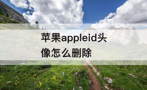 苹果appleid头像怎么删除