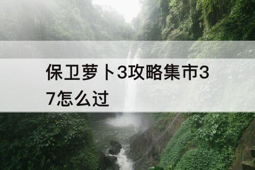 保卫萝卜3攻略集市37怎么过