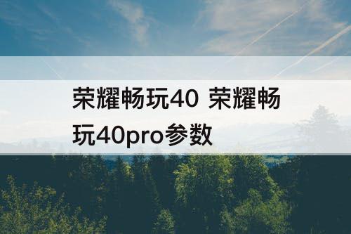 荣耀畅玩40 荣耀畅玩40pro参数