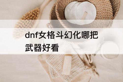 dnf女格斗幻化哪把武器好看