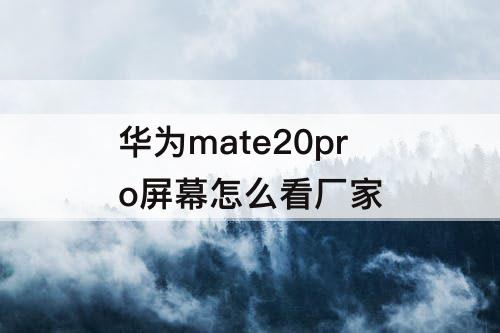 华为mate20pro屏幕怎么看厂家