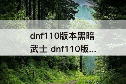 dnf110版本黑暗武士 dnf110版本黑暗武士刷图加点