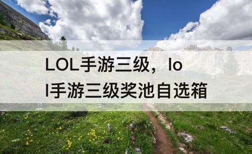 LOL手游三级，lol手游三级奖池自选箱