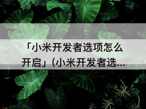 「小米开发者选项怎么开启」(小米开发者选项怎么开启hz)