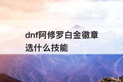 dnf阿修罗白金徽章选什么技能