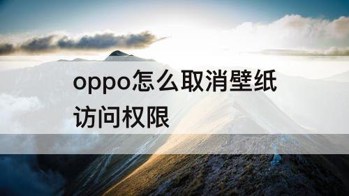 oppo怎么取消壁纸访问权限