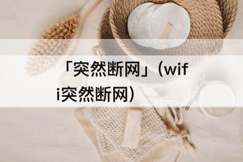 「突然断网」(wifi突然断网)