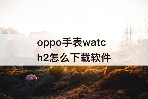 oppo手表watch2怎么下载软件